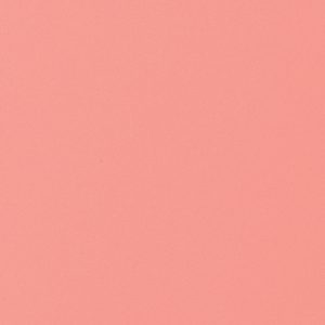 Entrydoor Aucontraire Designer Paint Color