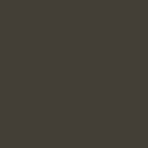 Entrydoor Bronze Designer Paint Color