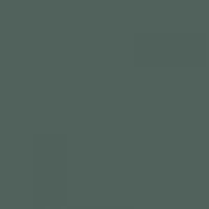 Entrydoor Pine Designer Paint Color